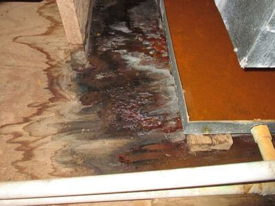 About Sarasota Water Damage Restoration - water damage restoration experts in Sarasota